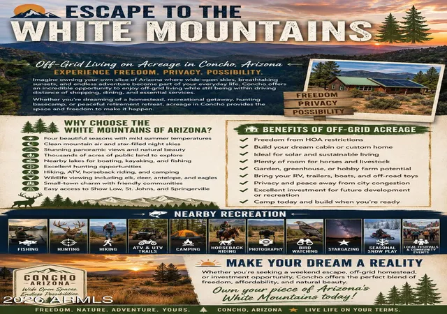 44th image of 234 N9211, Snowflake, AZ 85937 | MLS# 6998706
