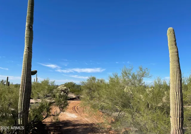 Photo 4 of Land for sale at 5ac N Gunsight Ln, Florence, AZ 85132 | MLS# 6999910 | Listing updated on 2026-03-17