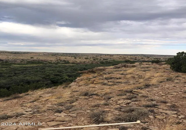 2nd image of 100 River Springs Ranch #100, Eagar, AZ 85925 | MLS# 6999948