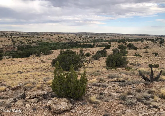 3rd image of 100 River Springs Ranch -- #100, Eagar, AZ 85925 | MLS# 6999948