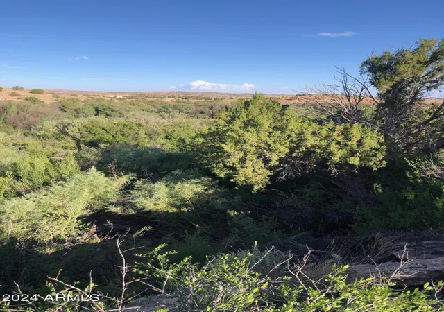 5th image of 100 River Springs Ranch -- #100, Eagar, AZ 85925 | MLS# 6999948