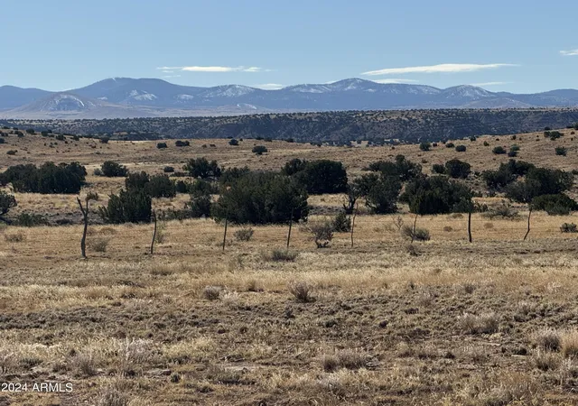 2nd image of 334 River Springs Ranch #334, St Johns, AZ 85936 | MLS# 6999957