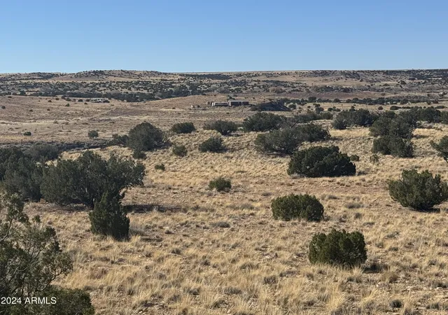 Photo 3 of Land for sale at 334 River Springs Ranch #334, St Johns, AZ 85936 | MLS# 6999957 | Listing updated on 2026-08-18