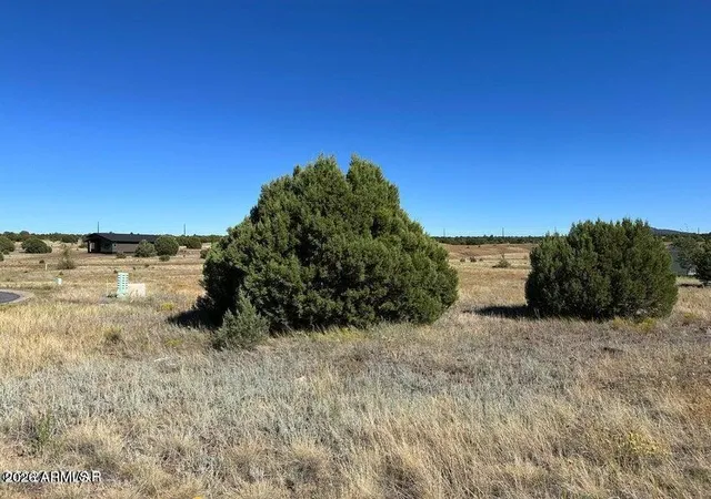 2nd image of 1100 S Ridgecreek Ln #29, Show Low, AZ 85901 | MLS# 7000966