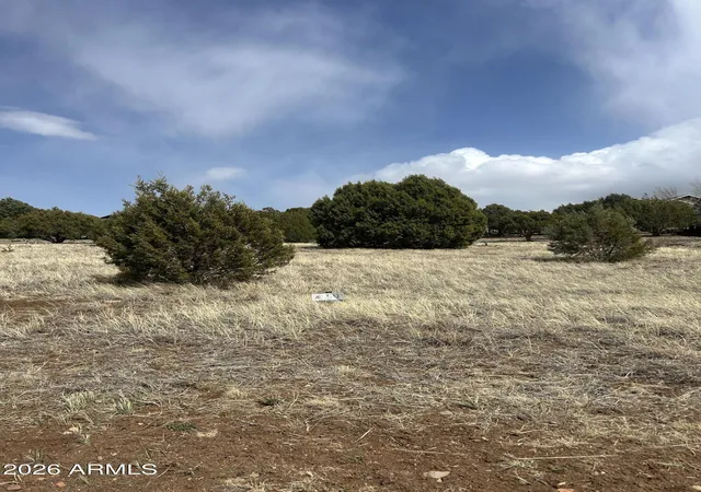 4th image of 1100 S Ridgecreek Ln #29, Show Low, AZ 85901 | MLS# 7000966
