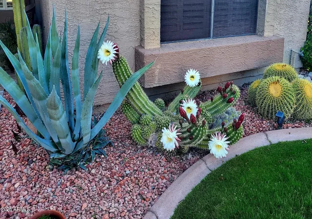 48th image of 19122 N 98th Ln, Peoria, AZ 85382 | MLS# 7001810