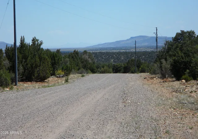 Homes for sale in Happy Jack, AZ | 7856 Manzanita Ct #119, Happy Jack, AZ 86024 | MLS# 7003654