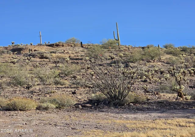 Homes for sale in Queen Valley, AZ | 0 Elephant Butte, Queen Valley, AZ 85118 | MLS# 7002119
