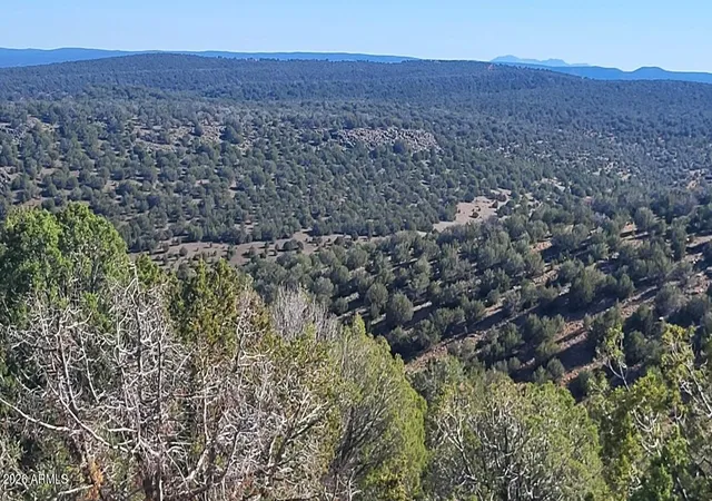 3rd image of 929 Forest Service Rd 721 A -- #929, Williams, AZ 86046 | MLS# 7002774