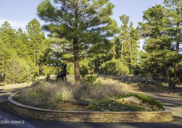 Homes for sale in Happy Jack, AZ | 3633 Sunset Ridge Loop #166, Happy Jack, AZ 86024 | MLS# 7010227