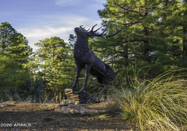 Homes for sale in Happy Jack, AZ | 3633 Sunset Ridge Loop #166, Happy Jack, AZ 86024 | MLS# 7010227