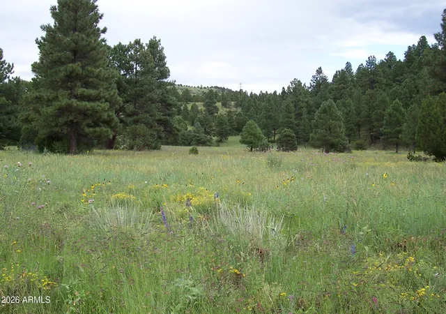 3rd image of Lot 5 Red Cabin Ranch Unit Ii -- #5, Vernon, AZ 85940 | MLS# 7002837