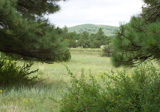 4th image of Lot 5 Red Cabin Ranch Unit Ii -- #5, Vernon, AZ 85940 | MLS# 7002837