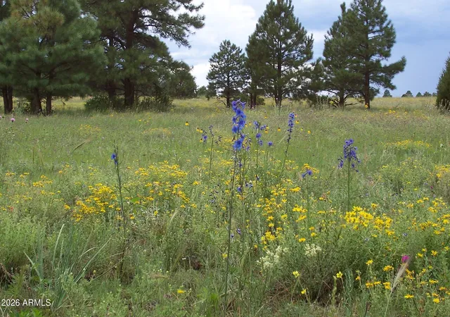 5th image of Lot 5 Red Cabin Ranch Unit Ii -- #5, Vernon, AZ 85940 | MLS# 7002837