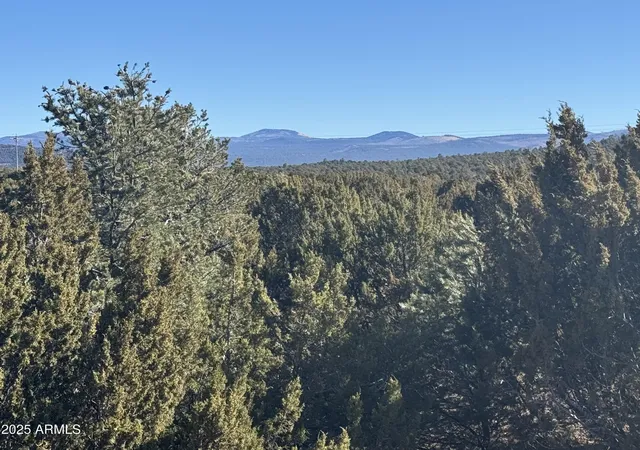5th image of #5 Skyline Ranch -- #5, Vernon, AZ 85940 | MLS# 7003478
