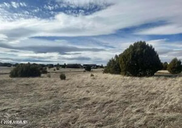 3rd image of 1041 S Ridgeline Dr, Show Low, AZ 85901 | MLS# 7003890