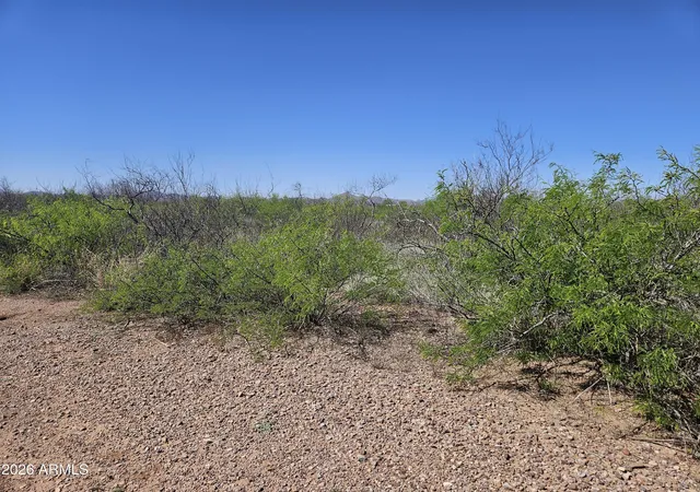 Photo 4 of Land for sale at Xxxx N Baylor Dr #787-789, Douglas, AZ 85607 | MLS# 7004468 | Listing updated on 2026-03-27