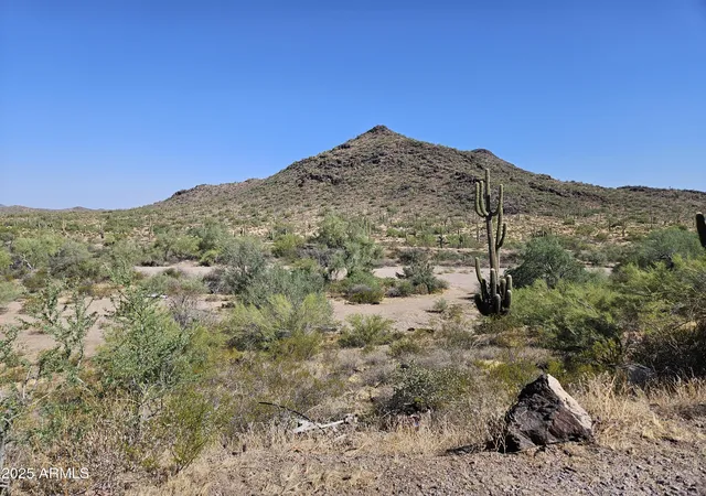 Homes for sale in Wittmann, AZ | 29500 W Black Mountain Rd Rd, Wittmann, AZ 85361 | MLS# 7006063