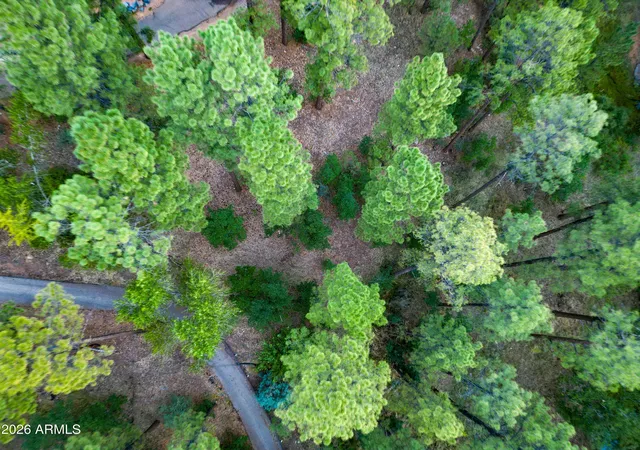19th image of 2540 W Pinegrass Rd, Show Low, AZ 85901 | MLS# 7005683