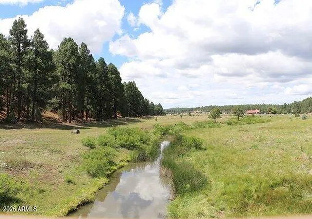 7th image of 661 S Rock Creek Dr, Show Low, AZ 85901 | MLS# 7006071