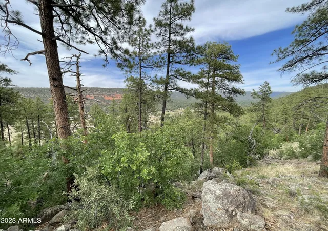 Homes for sale in Pine, AZ | 4770 N Pine Shadows Ln #2, Pine, AZ 85544 | MLS# 7005892