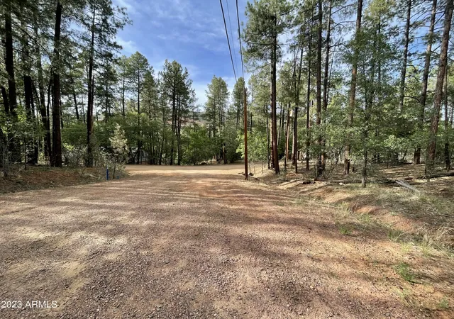 Homes for sale in Pine, AZ | 4770 N Pine Shadows Ln #2, Pine, AZ 85544 | MLS# 7005892