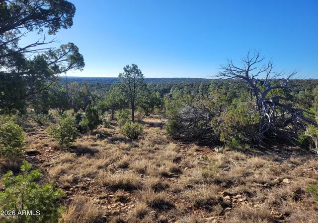 Homes for sale in Happy Jack, AZ | 4083 Sunset Ridge Loop #175, Happy Jack, AZ 86024 | MLS# 7007039