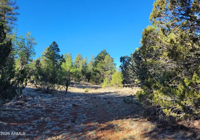 Homes for sale in Happy Jack, AZ | 4083 Sunset Ridge Loop #175, Happy Jack, AZ 86024 | MLS# 7007039