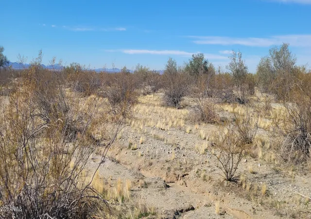 4th image of 11501 W Hunt Hwy, Goodyear, AZ 85395 | MLS# 7006328