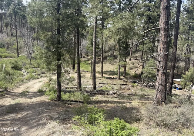 Photo 3 of Land for sale at 00 E Wild Flower Rd, Crown King, AZ 86343 | MLS# 7006784 | Listing updated on 2026-03-31