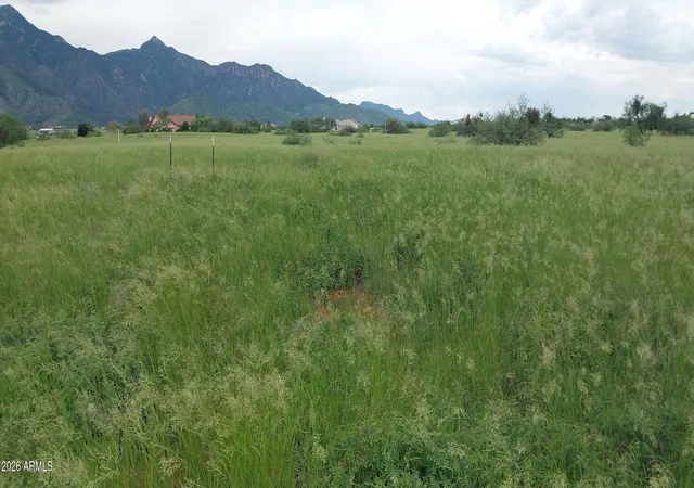 Photo 3 of Land for sale at 206 S Coatimundi Ct #15, Hereford, AZ 85615 | MLS# 7011717 | Listing updated on 2026-08-01
