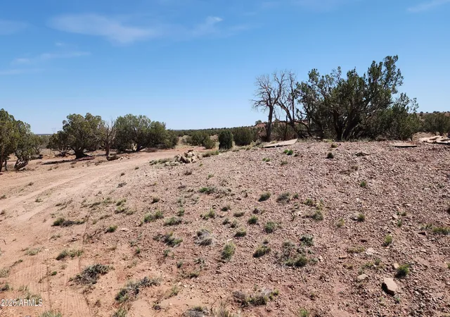 Homes for sale in Concho, AZ | 000 0000 -- #553B, Concho, AZ 85924 | MLS# 7006935
