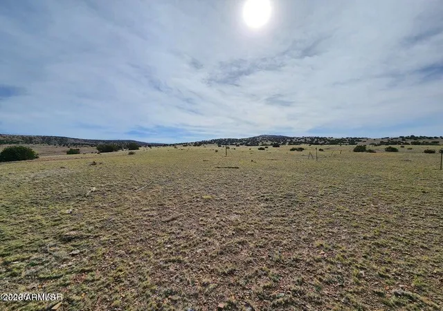 Photo 3 of Land for sale at 1470 E Concho Hwy, Concho, AZ 85924 | MLS# 7007591 | Listing updated on 2026-09-01