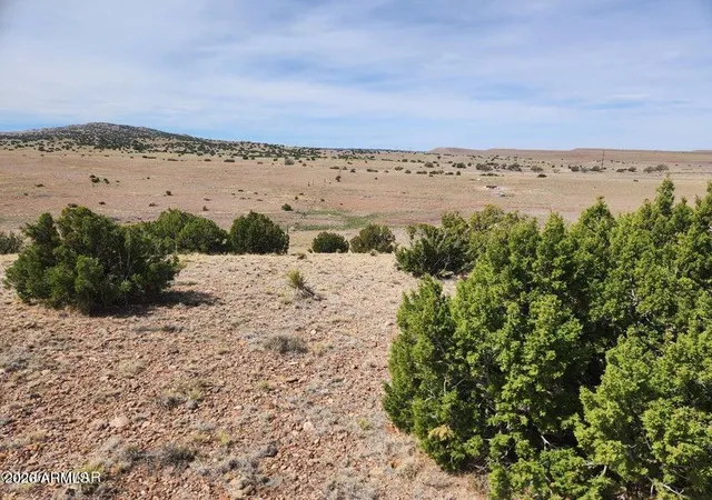 Photo 3 of Land for sale at 1470 E Concho Hwy, Concho, AZ 85924 | MLS# 7007591 | Listing updated on 2026-09-01
