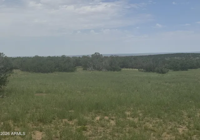 1st image of Lot 215 Woodland Valley Ranch #215, St Johns, AZ 85936 | MLS# 7009289