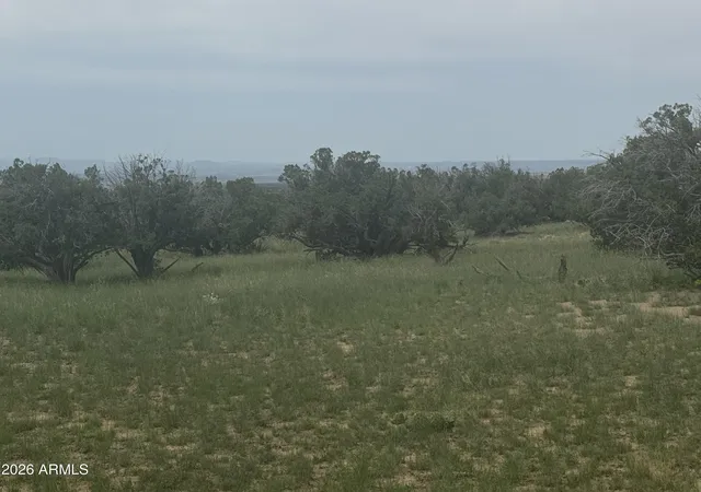 2nd image of Lot 215 Woodland Valley Ranch #215, St Johns, AZ 85936 | MLS# 7009289