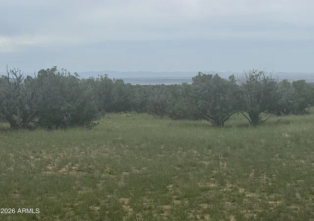 Photo 3 of Land for sale at Lot 215 Woodland Valley Ranch #215, St Johns, AZ 85936 | MLS# 7009289 | Listing updated on 2026-08-10