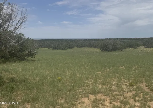 Photo 3 of Land for sale at Lot 215 Woodland Valley Ranch #215, St Johns, AZ 85936 | MLS# 7009289 | Listing updated on 2026-08-10