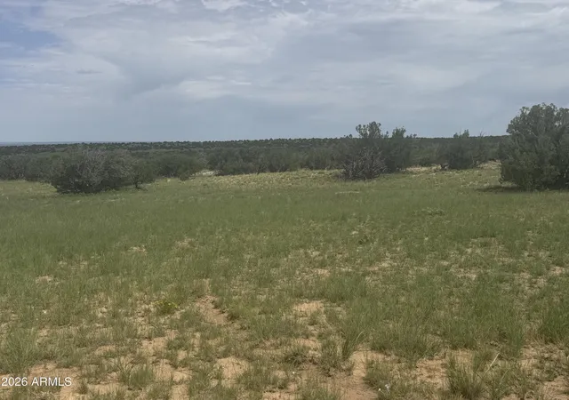 Photo 4 of Land for sale at Lot 215 Woodland Valley Ranch #215, St Johns, AZ 85936 | MLS# 7009289 | Listing updated on 2026-08-10