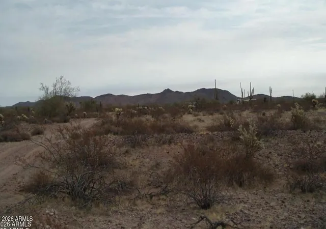 Homes for sale in Wittmann, AZ | 29900 N 315th Ave #96 7, Wittmann, AZ 85361 | MLS# 7014036