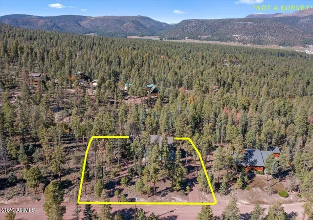 54th image of 12 County Rd 2074, Alpine, AZ 85920 | MLS# 7009898