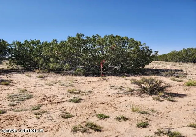 3rd image of 000 N Tbd Dr #180-A, St Johns, AZ 85936 | MLS# 7010028