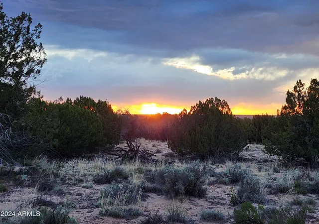 3rd image of 000 N Tbd Dr #9, St Johns, AZ 85936 | MLS# 7010032