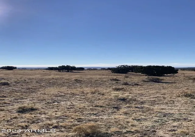 4th image of 000 N Tbd Dr #9, St Johns, AZ 85936 | MLS# 7010032