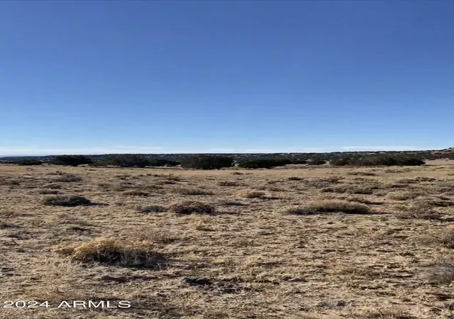5th image of 000 N Tbd Dr #9, St Johns, AZ 85936 | MLS# 7010032