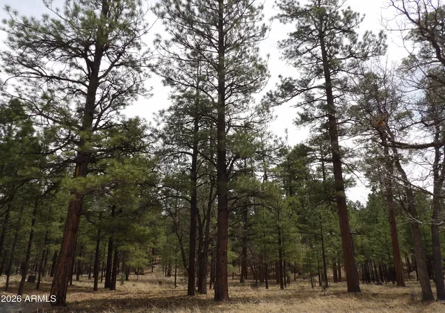 Homes for sale in Happy Jack, AZ | 2011 Pine Canyon Dr #173, Happy Jack, AZ 86024 | MLS# 7012639