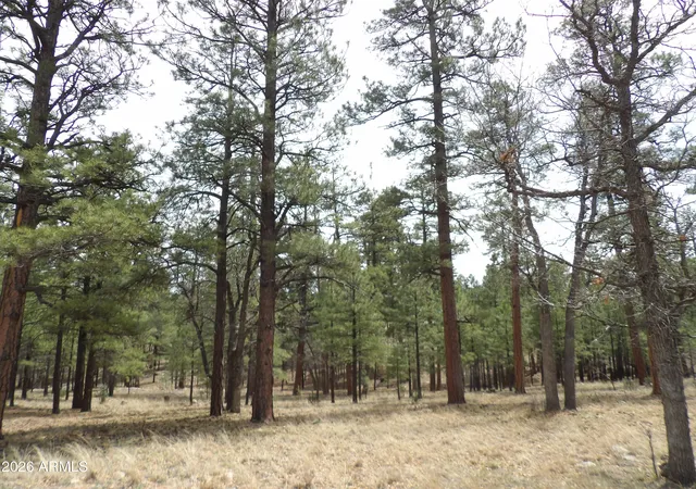 Homes for sale in Happy Jack, AZ | 2011 Pine Canyon Dr #173, Happy Jack, AZ 86024 | MLS# 7012639