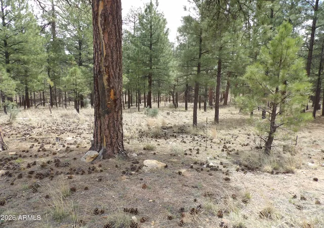 Homes for sale in Happy Jack, AZ | 2011 Pine Canyon Dr #173, Happy Jack, AZ 86024 | MLS# 7012639