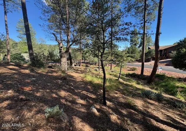 Homes for sale in Pine, AZ | Lot 33 Sage Ct #33, Pine, AZ 85544 | MLS# 7012431