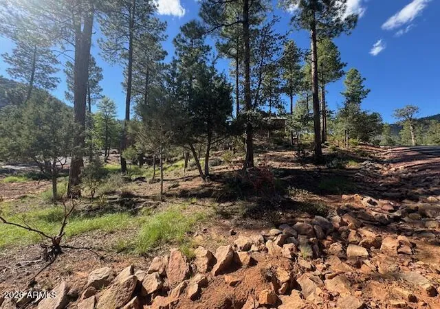 Homes for sale in Pine, AZ | Lot 33 Sage Ct #33, Pine, AZ 85544 | MLS# 7012431